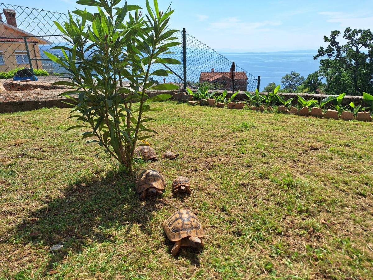 Marini Apartma Opatija